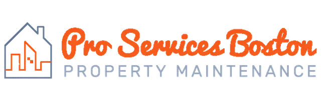 Pro Services Boston